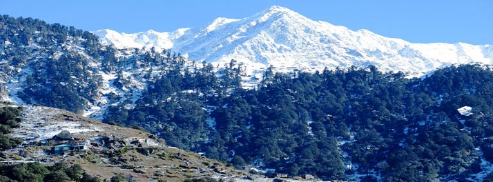 1359/Hotel Victoriya Palace - Dharamshala 09.jpg
